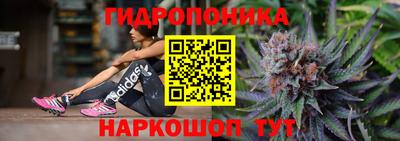 мдпв Бийск