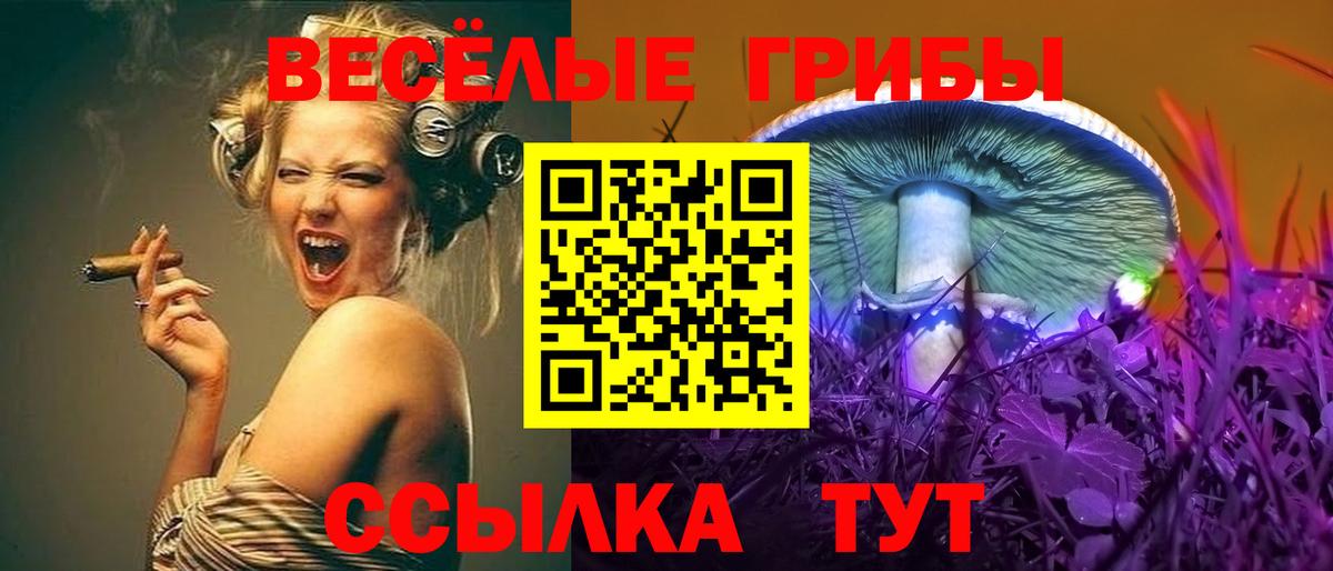 Псилоцибиновые грибы Cubensis  Галлюциногенные грибы Psilocybine cubensis  Кирово-Чепецк  Вход с VPN 